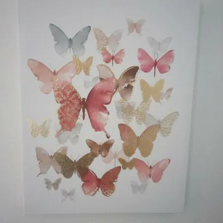 Butterfly - For Rest And Relaxation * ספליט