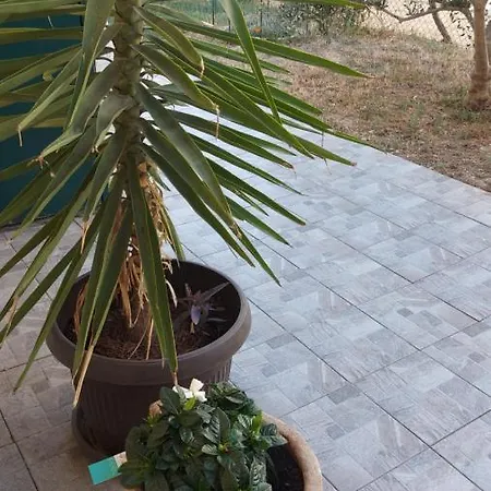 Butterfly - For Rest And Relaxation Apartman *